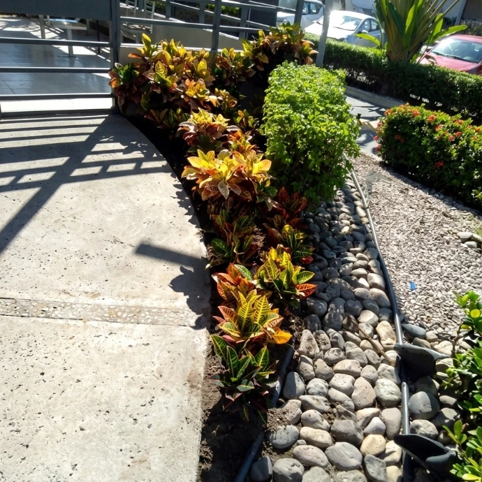 Clínicas y hospitales