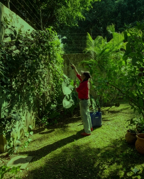 Mantenimiento de jardines